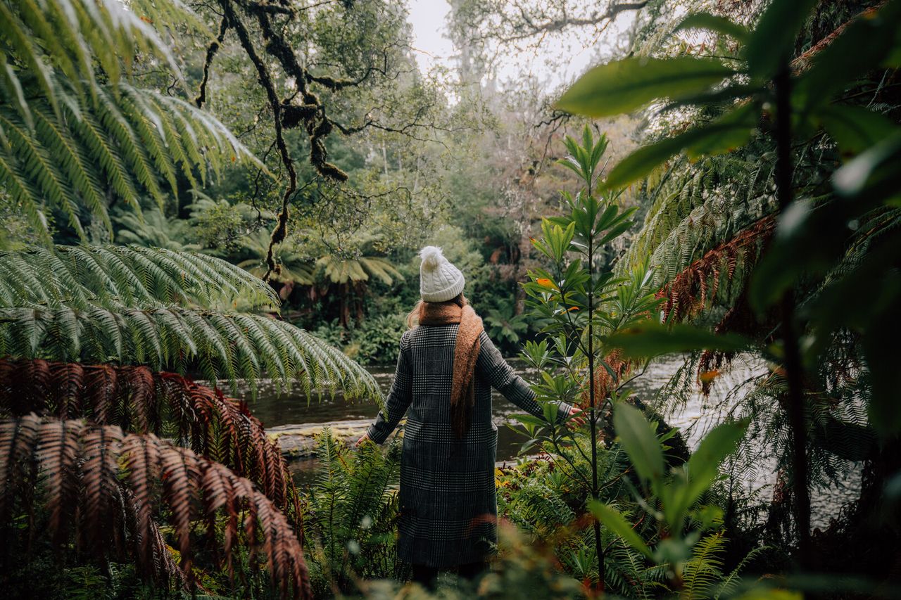 4 Day Tasmanian Highlights Bundle - Hobart, Port Arthur, Bruny Island, Hastings and Tahune