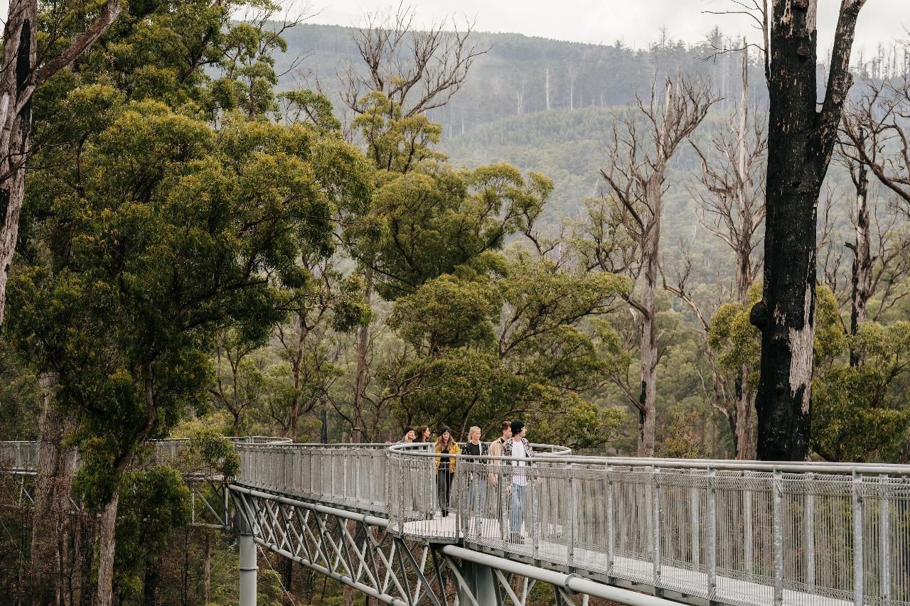 5 Day Island Icons Day Tour Bundle - Cradle Mountain, Wineglass Bay, Port Arthur, Bruny Island, and Hobart Highlights