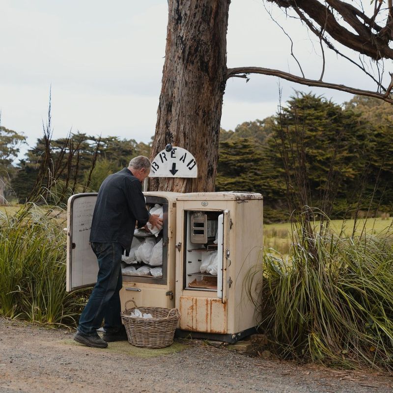 Instagram Post - @tassietours_tasmania